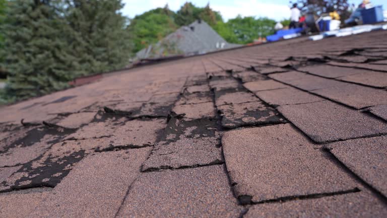Best Gutter Installation and Repair  in Everman, TX