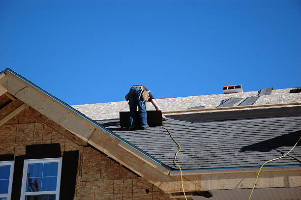 Best Roof Moss and Algae Removal  in Everman, TX