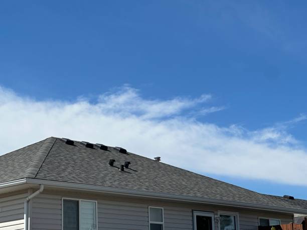 Best Cold Roofs  in Everman, TX